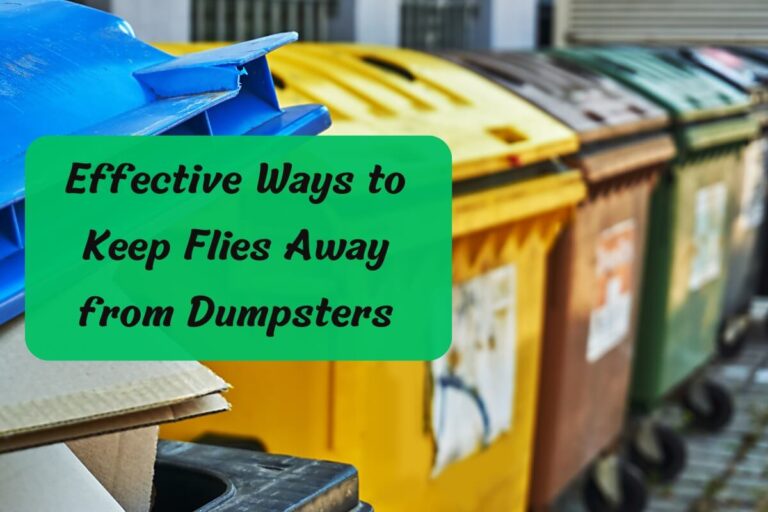 Effective Ways to Keep Flies Away from Dumpsters
