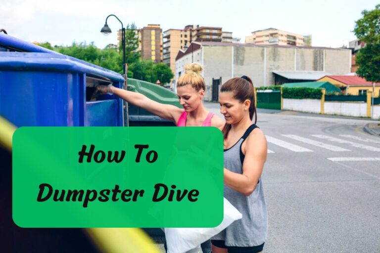 how to dumpster dive