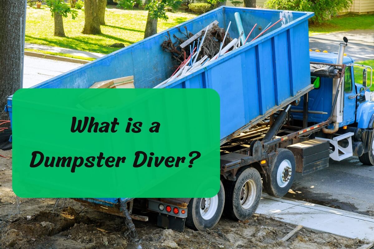 What is a Dumpster Diver