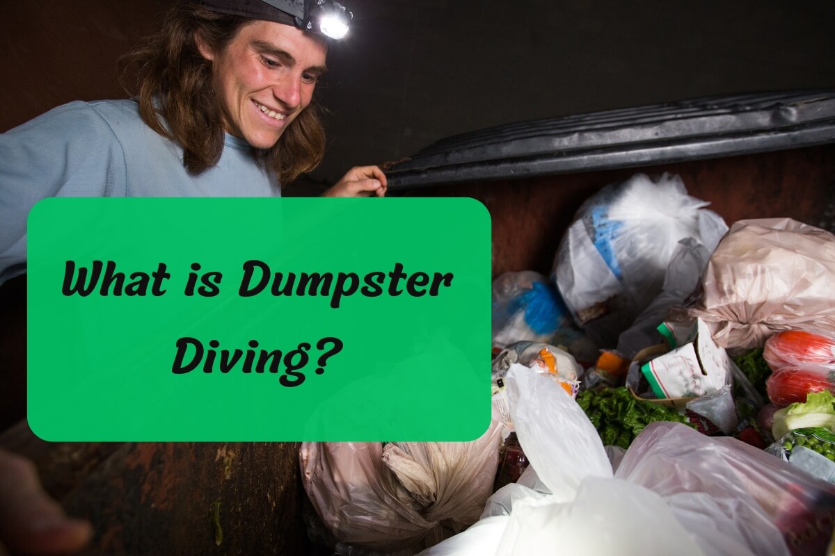 What is Dumpster Diving