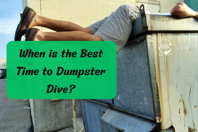 When is the Best Time to Dumpster Dive?